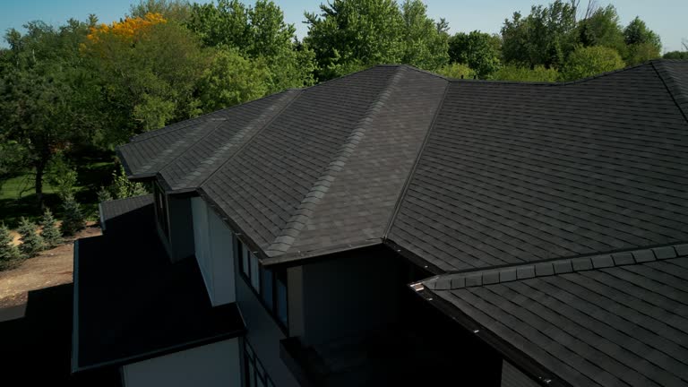 Best Solar Panel Roofing Installation  in Shawneetown, IL